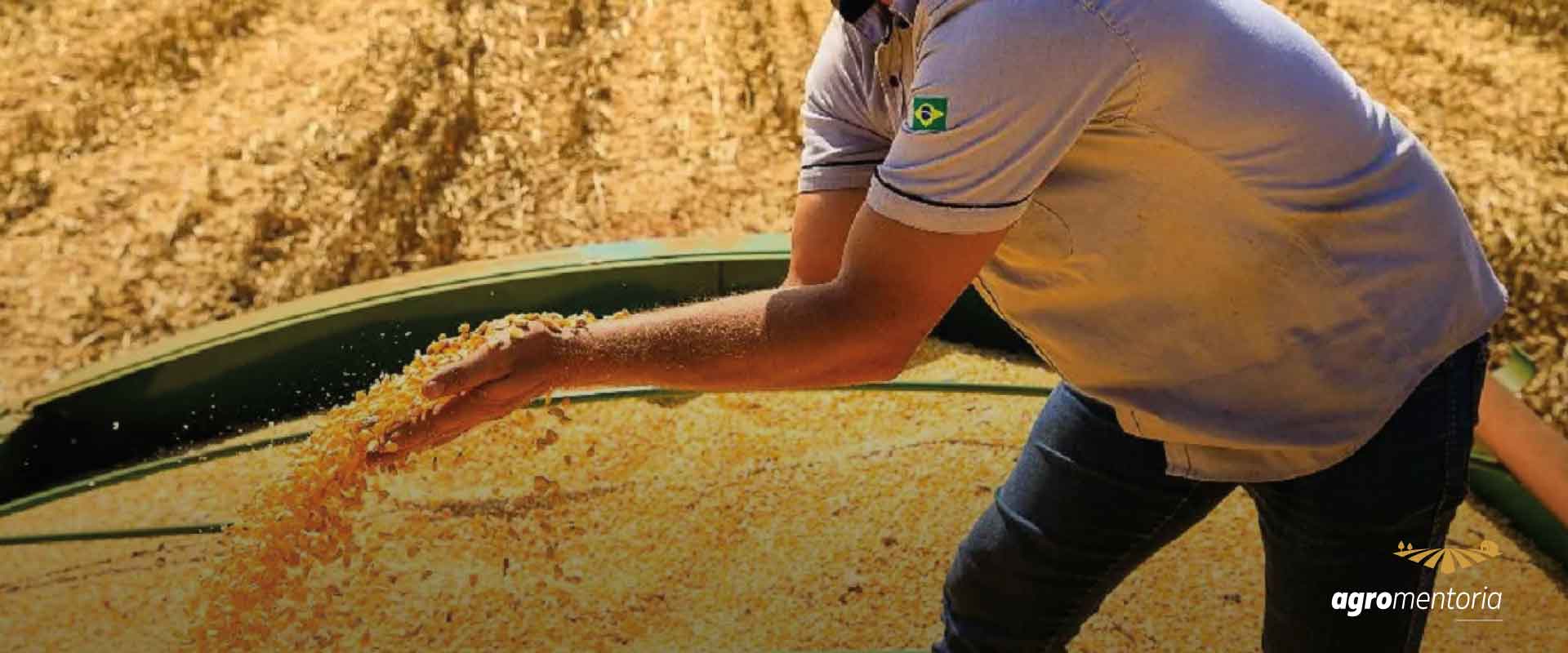 Preços da soja permanecem firmes no Brasil